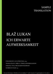 Blaž Lukan: Ich erwarte aufmerksamkeit, Individual sample translation