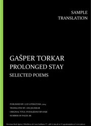 Gašper Torkar: Prolonged stay, Individual sample translation