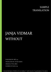 Janja Vidmar: Without, Individual sample translation