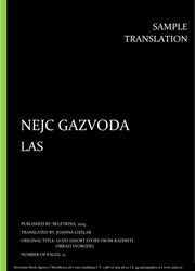 Nejc Gazvoda: Las, Individual Sample Translation