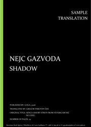 Nejc Gazvoda: Shadow, Individual sample translation