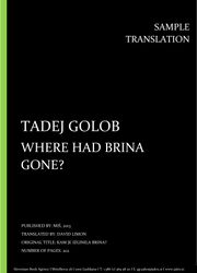 Tadej Golob: Where Had Brina Gone?, Individual sample translation