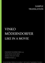 Vinko Möderndorfer: Like in a Movie, Individual sample translation
